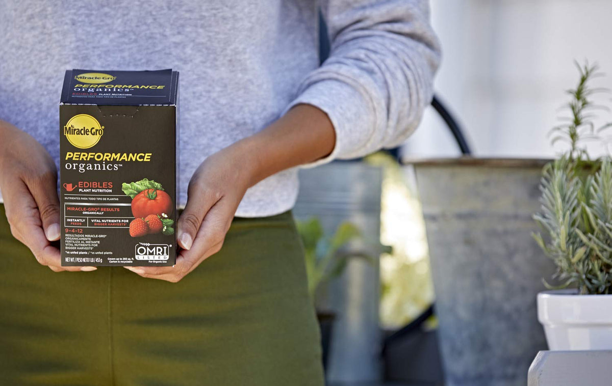 Miracle-Gro Performance Organics Edibles helping tomatoes thrive in the garden.