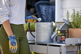 Miracle-Gro Performance Organics Edibles being poured using a watering can.