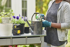 Nutrients designed for vegetables, flowers, and herbs to support healthy growth