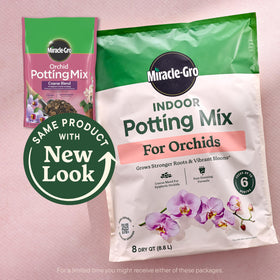 Mist spray application on orchid leaves and roots with Miracle-Gro plant food mist.