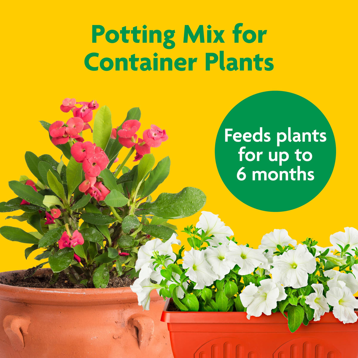 Miracle-Gro Potting Mix container-plant image shows bigger blooms and healthy roots