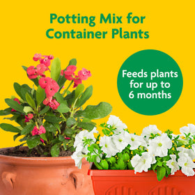 Miracle-Gro Potting Mix container-plant image shows bigger blooms and healthy roots