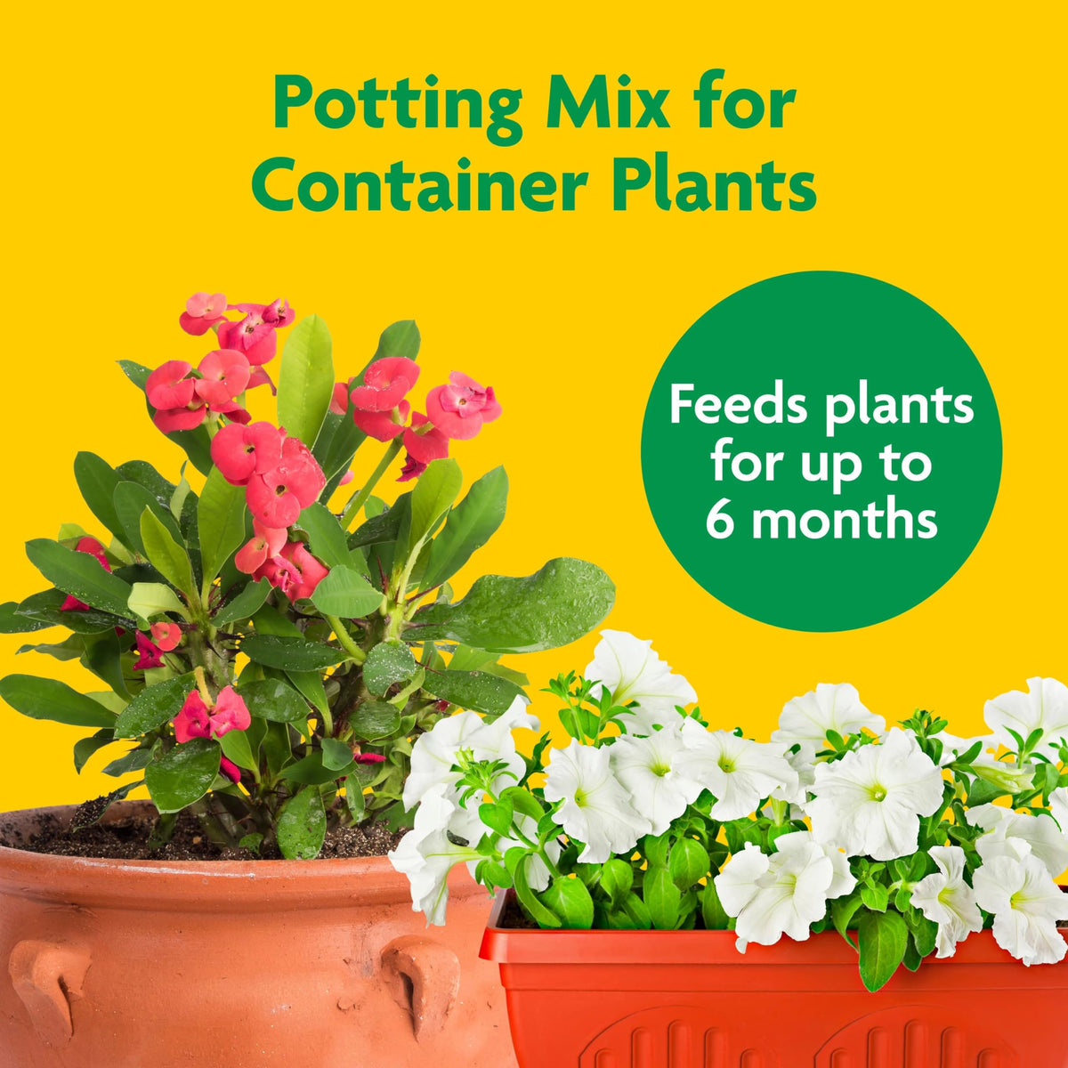 Miracle-Gro Potting Mix in a pot with blooms supports healthy container growth