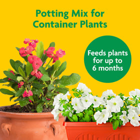 Miracle-Gro Potting Mix in a pot with blooms supports healthy container growth