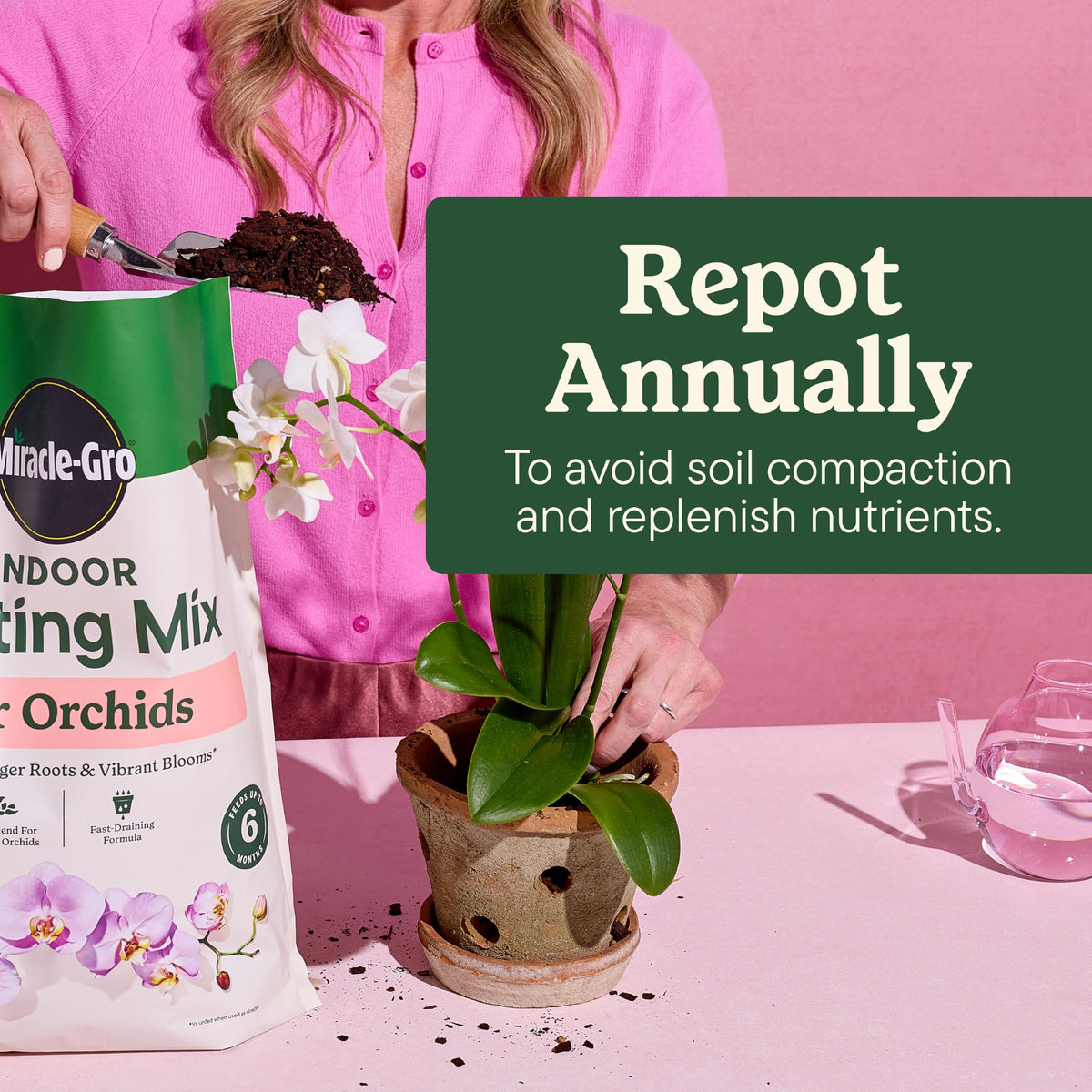 Potting mix ready-to-use for quick orchid repotting and drainage improvement.