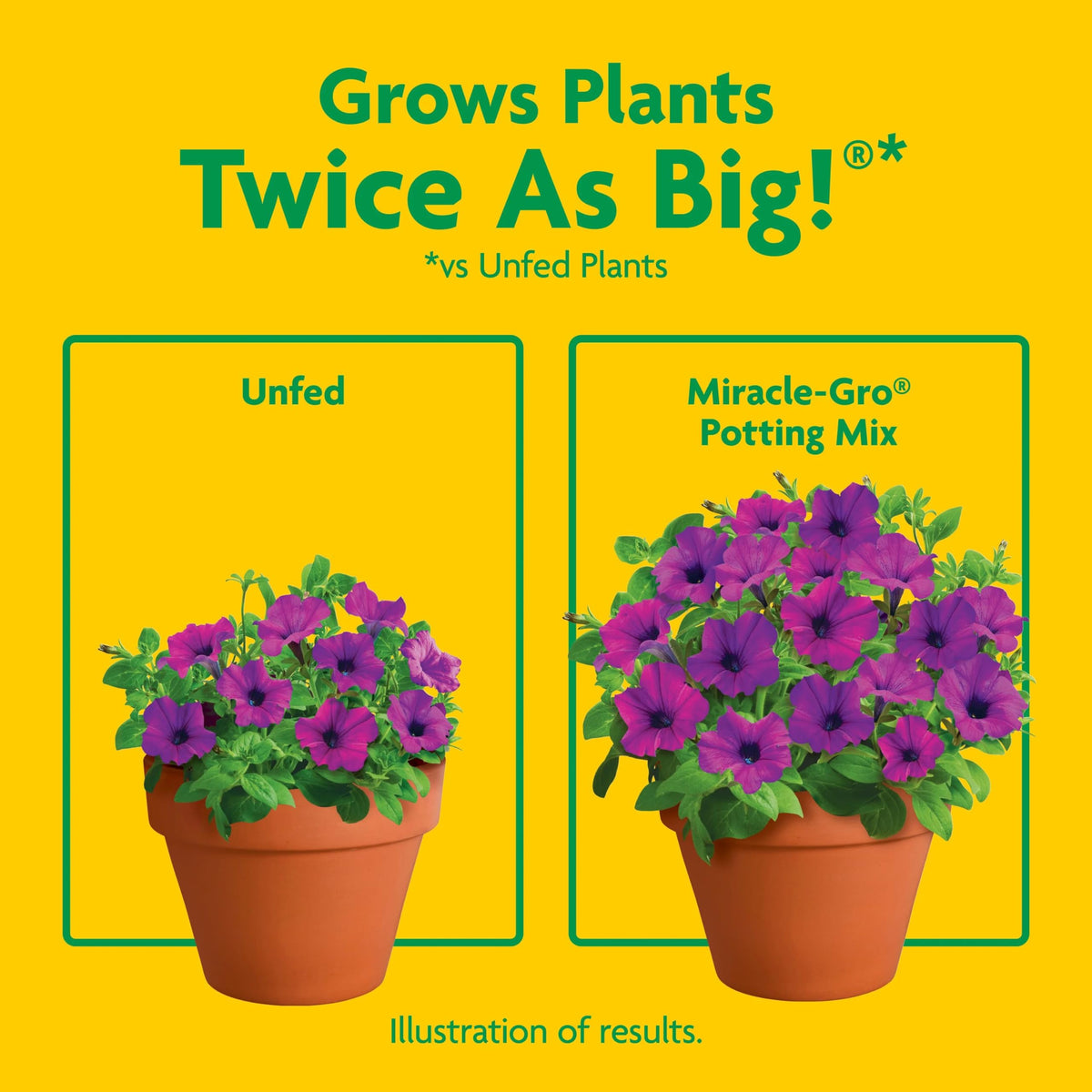 Container filled with Miracle-Gro Potting Mix for vegetables and herbs