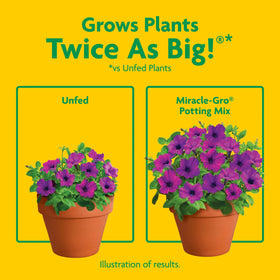 Container filled with Miracle-Gro Potting Mix for vegetables and herbs