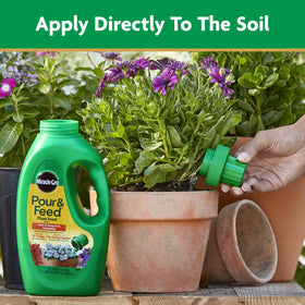 Miracle-Gro Pour & Feed for indoor plants supports healthy container growth