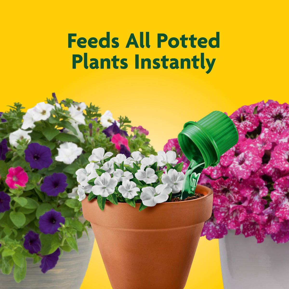 Miracle-Gro Pour & Feed liquid plant food ready to use for instant potted plant nourishment