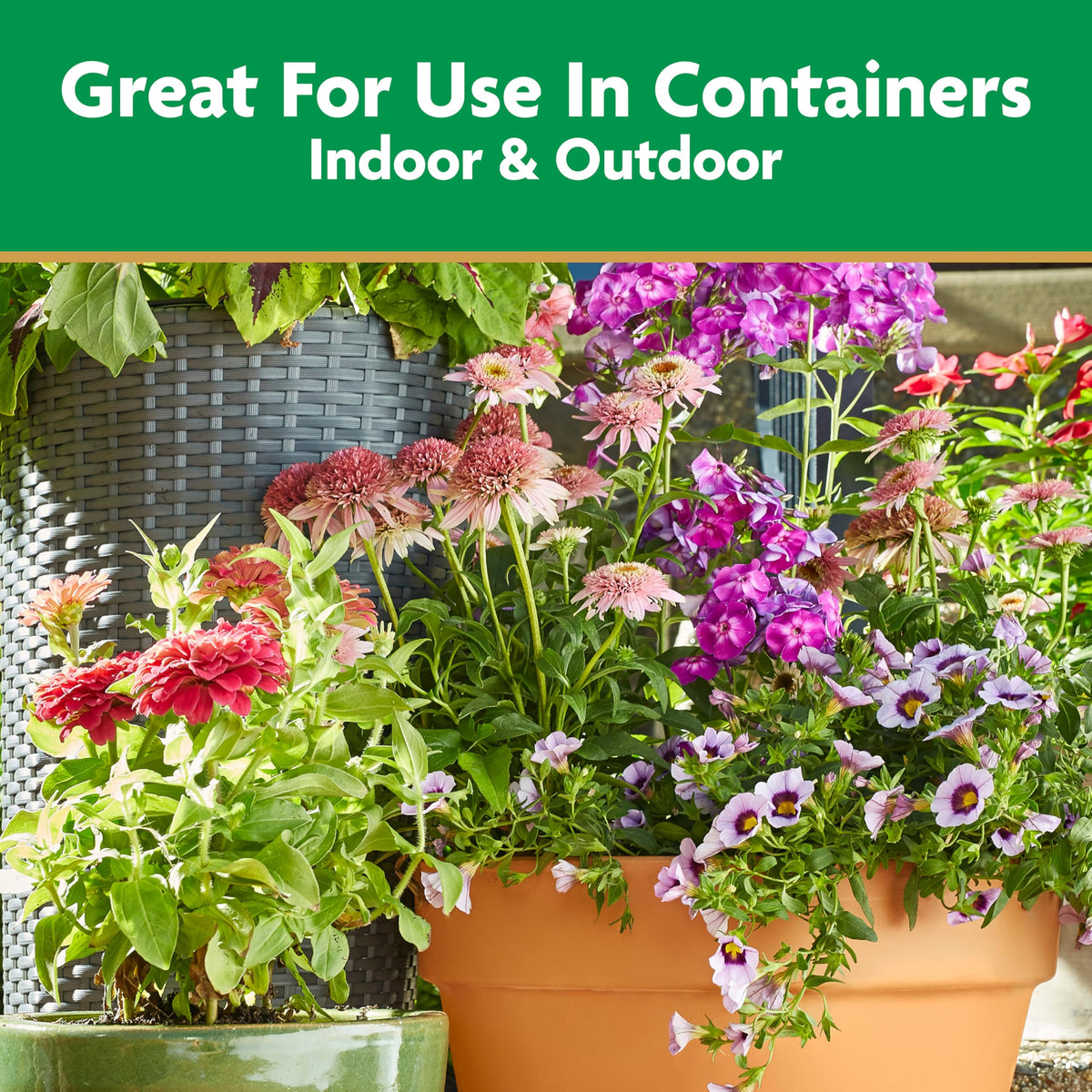 Miracle-Gro Pour & Feed for outdoor containers fuels vibrant garden containers
