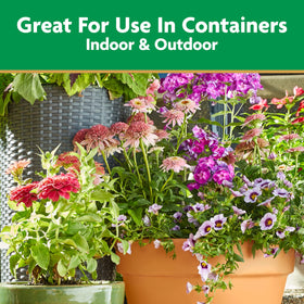 Miracle-Gro Pour & Feed for outdoor containers fuels vibrant garden containers