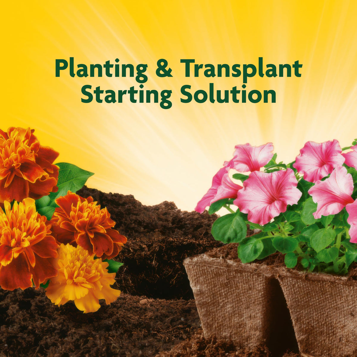 Miracle-Gro Quick Start liquid concentrate ready to mix for seedlings.