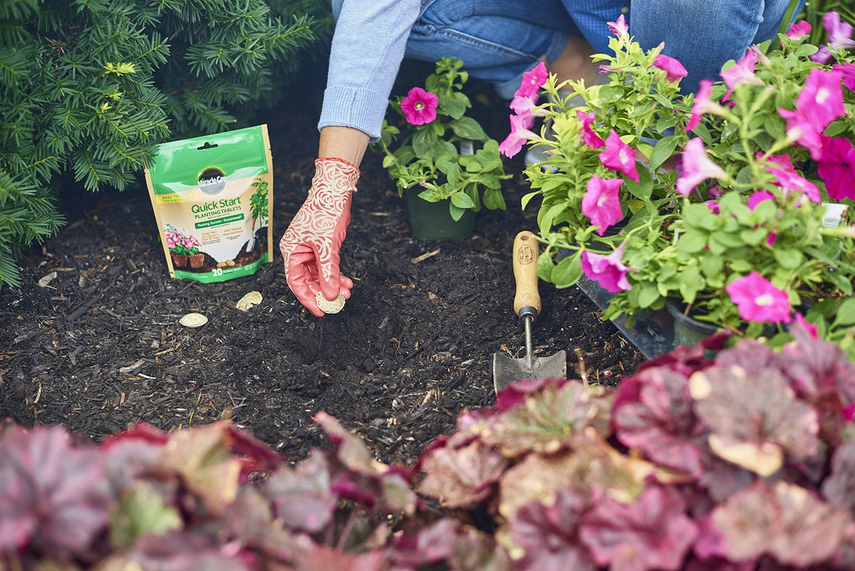 Tablets used for indoor and outdoor transplants with Miracle-Gro