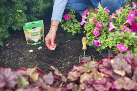 Tablets used for indoor and outdoor transplants with Miracle-Gro