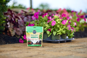 Miracle-Gro Quick Start tablets ready for transplant in garden beds and pots