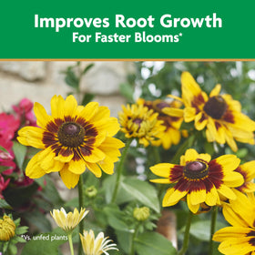Miracle-Gro Quick Start root-feeding during transplant care.