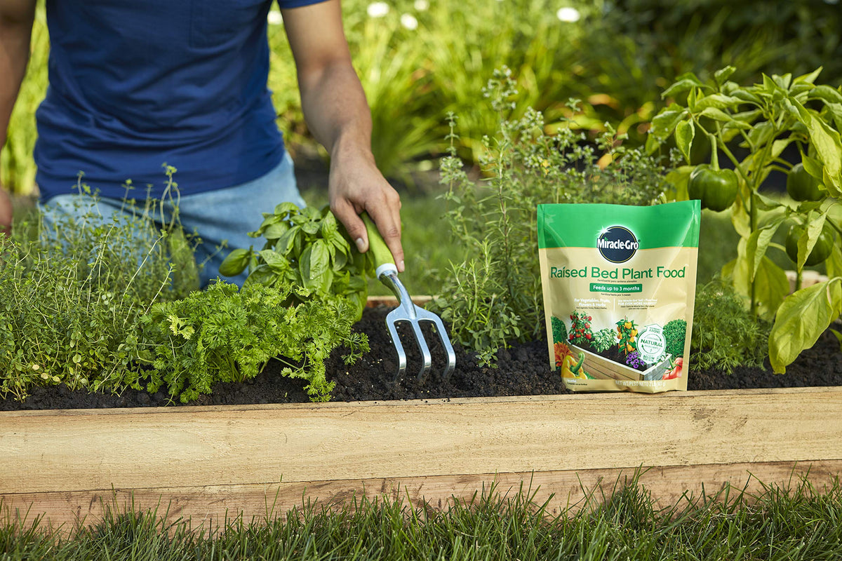 Watering in Miracle-Gro Raised Bed Plant Food after application.