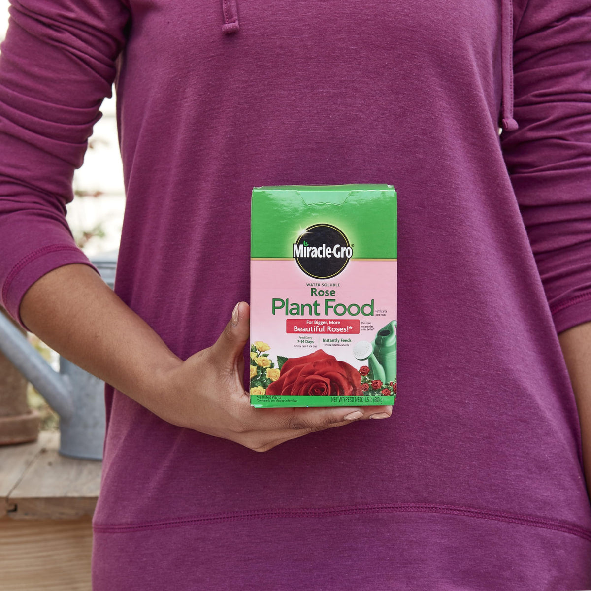 Miracle-Gro Rose Food dissolving in water for quick root nourishment