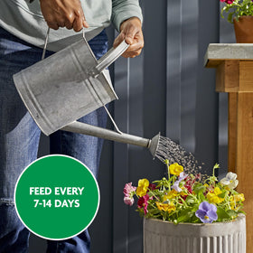 Miracle-Gro Seasonal color: reliable blooms across a full garden season.