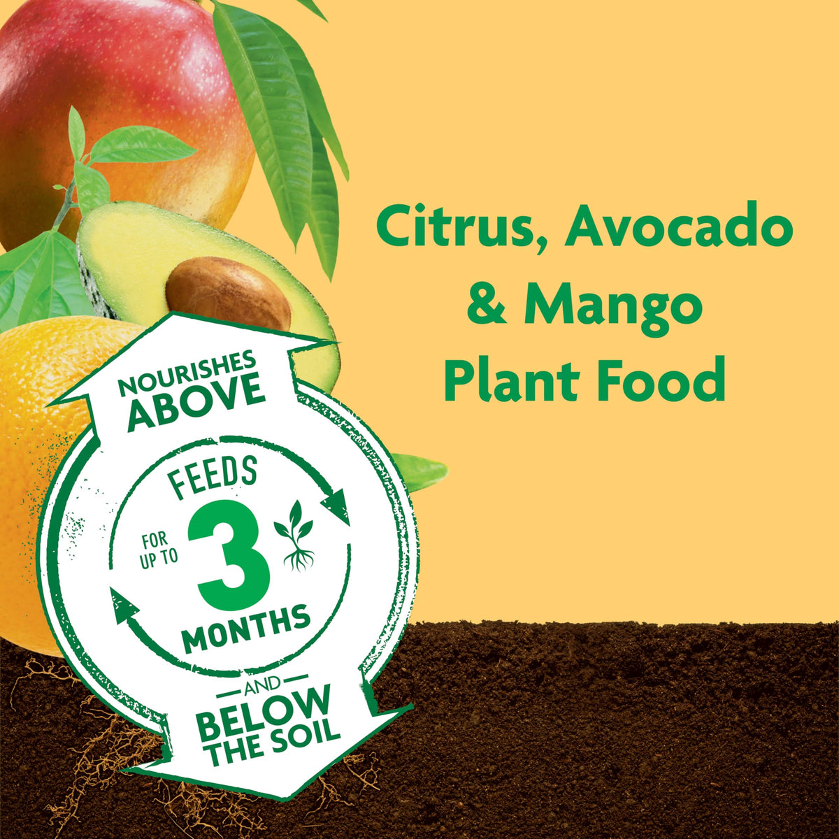 Miracle-Gro Shake 'N Feed Avocado bag promoting healthy root development.