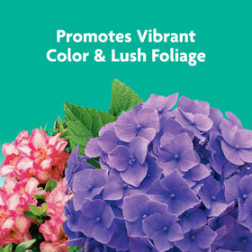 Miracle-Gro Shake 'N Feed bloom display indicates vibrant flowers.