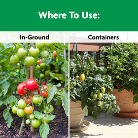 Calcium-rich Miracle-Gro Shake 'N Feed supports stronger plant cell walls.