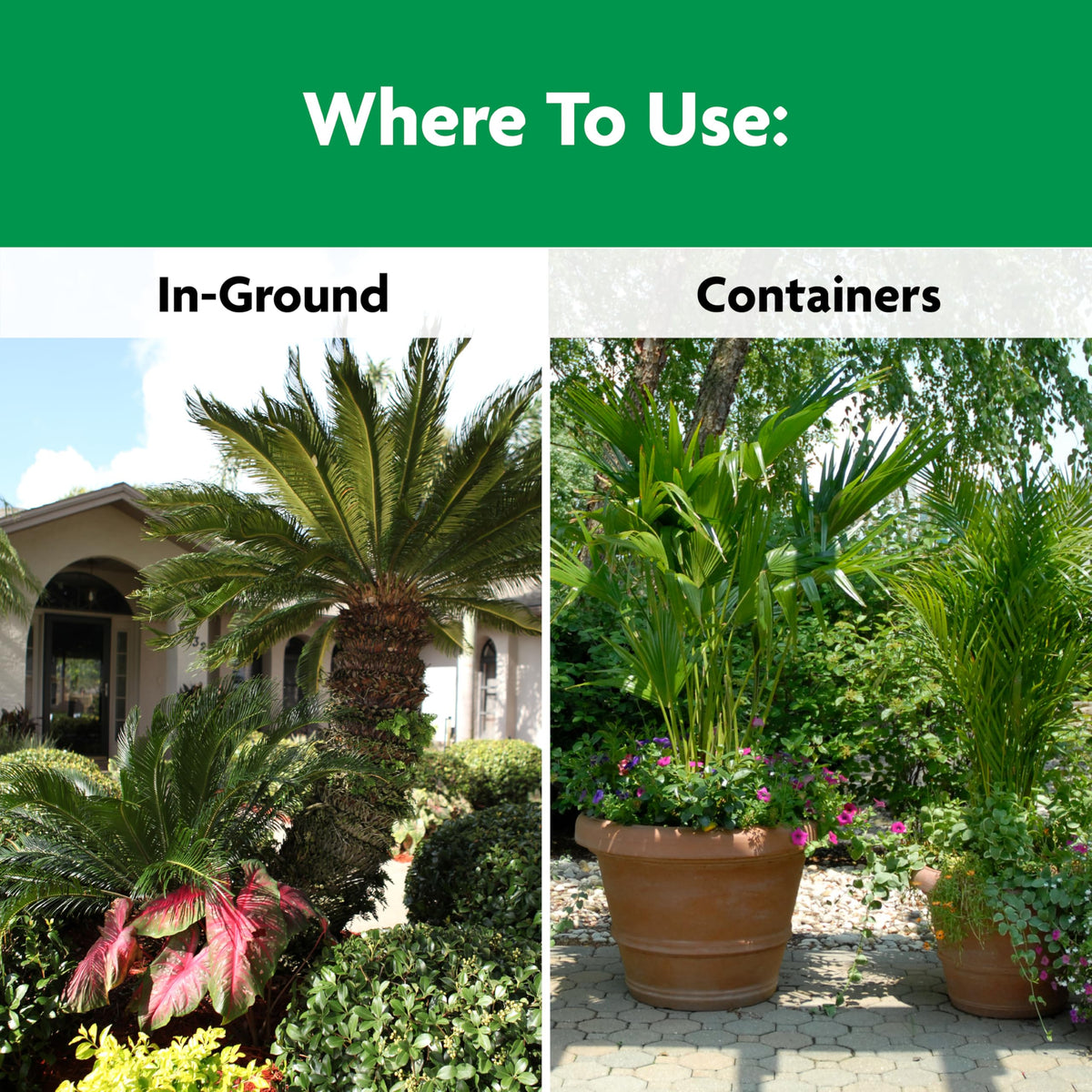 Miracle-Gro Shake 'N Feed compost-enriched formula improves soil for palms