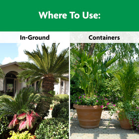Miracle-Gro Shake 'N Feed compost-enriched formula improves soil for palms