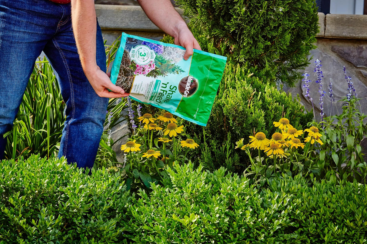 Miracle-Gro Shake 'N Feed container application supports established plants.