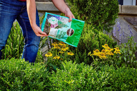 Miracle-Gro Shake 'N Feed container application supports established plants.