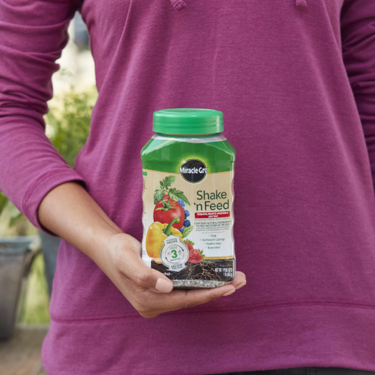 Container plant with Miracle-Gro Shake 'N Feed mixed into soil.