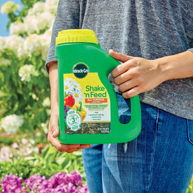 Container plants receiving Miracle-Gro Shake 'N Feed for lush growth