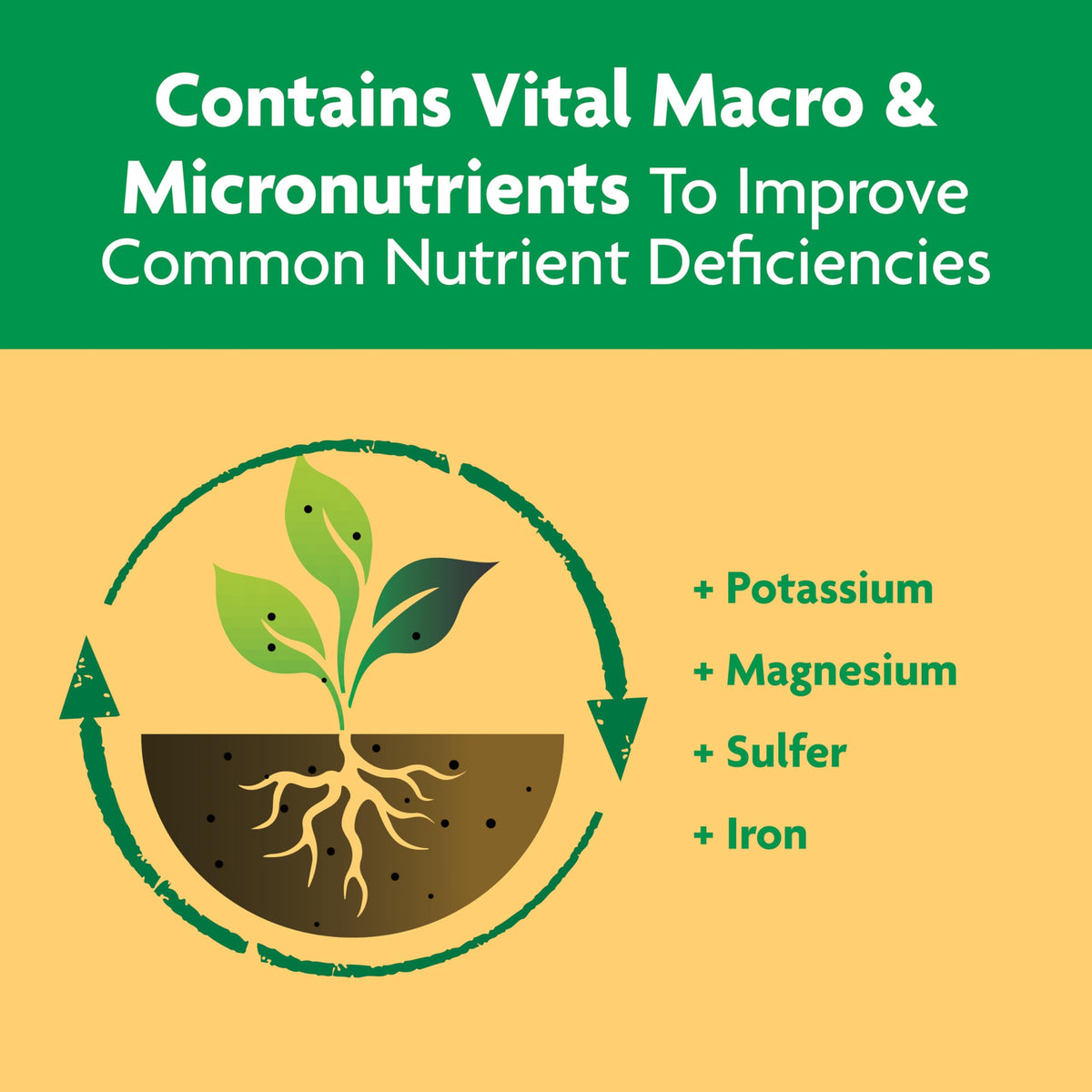 Applied to container plants to support long-lasting citrus and fruiting.