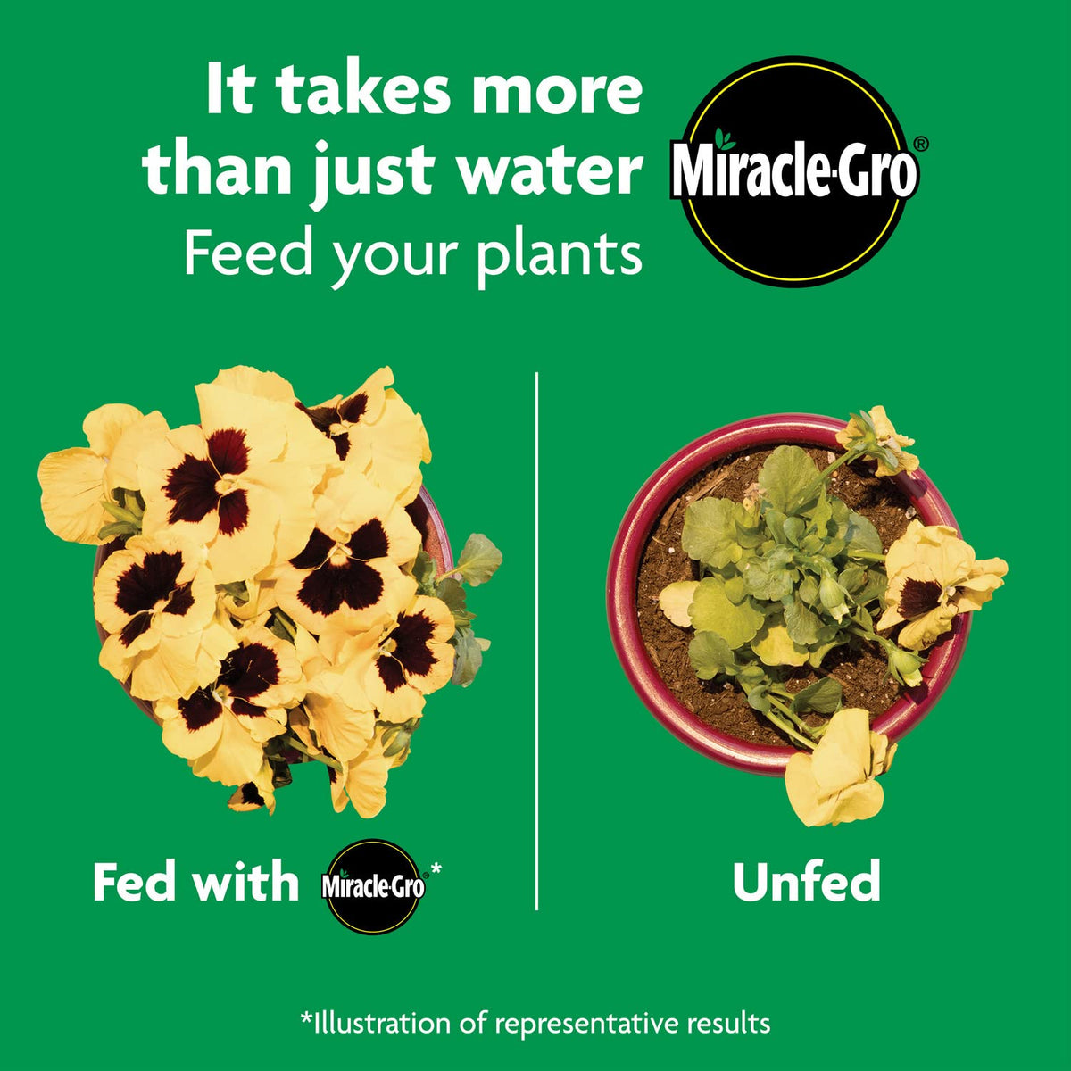 Flower beds thriving with Miracle-Gro Shake 'N Feed application