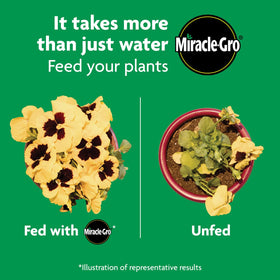 Flower beds thriving with Miracle-Gro Shake 'N Feed application