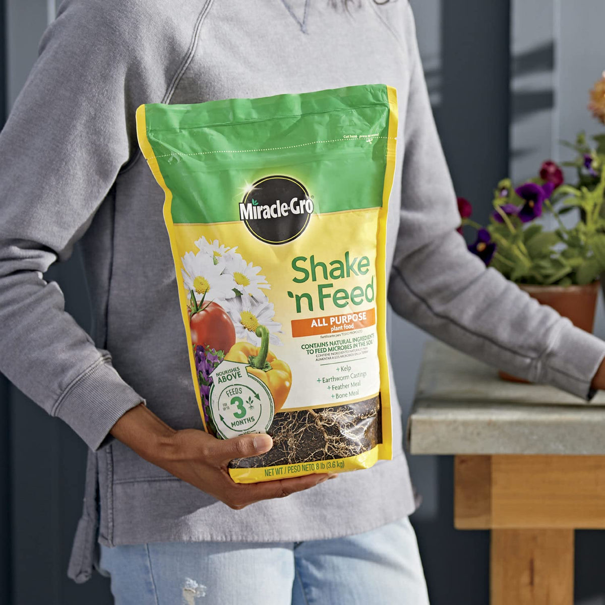Miracle-Gro Shake 'N Feed applied to an indoor container plant for stronger growth.