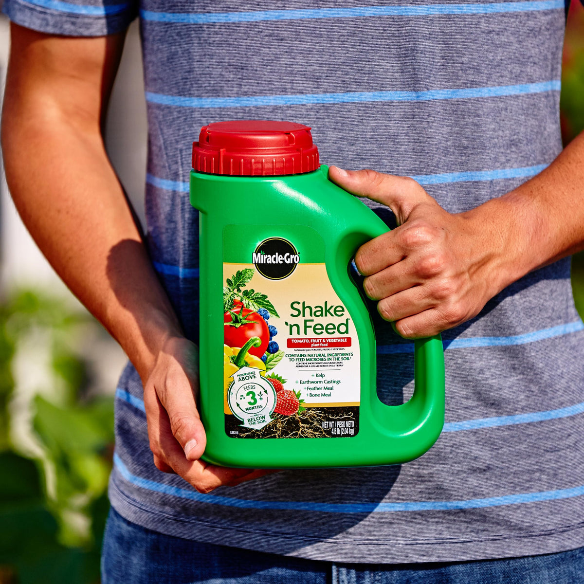 Miracle-Gro Shake 'N Feed applied to in-ground tomato and vegetable beds.