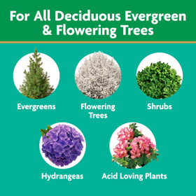 Miracle-Gro Shake 'N Feed ingredients include kelp and earthworm castings.