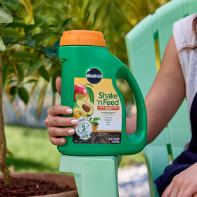Miracle-Gro Shake 'N Feed Mango bag supports vibrant fruiting and tree growth.