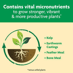 Miracle-Gro Shake 'N Feed contains micronutrients for stronger growth.
