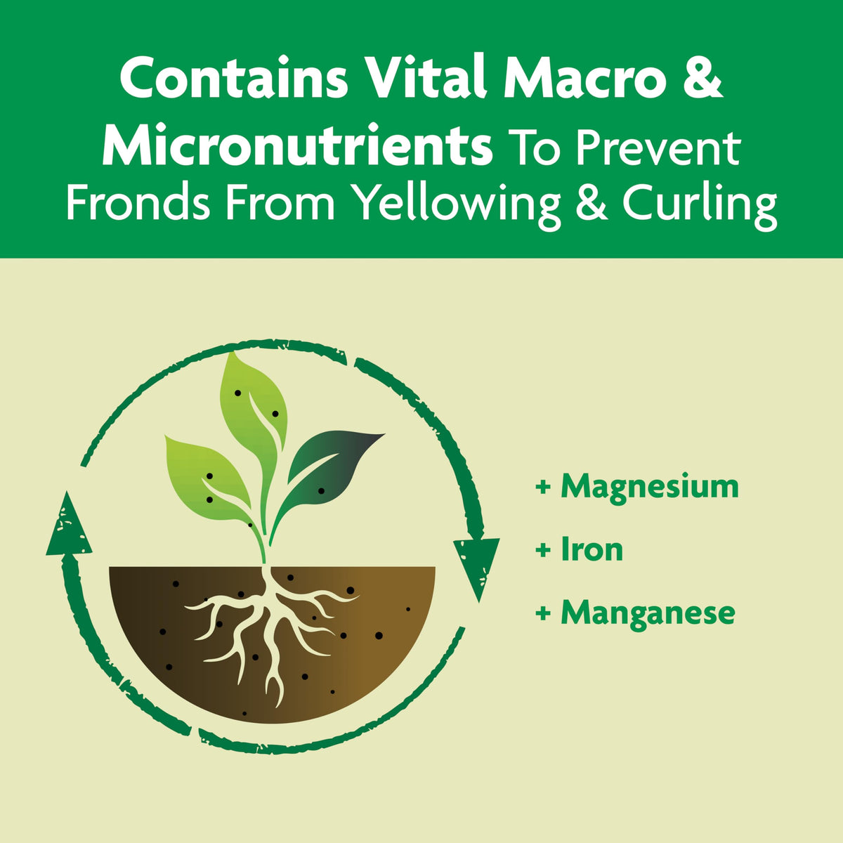 Miracle-Gro Shake 'N Feed packaging closeup highlighting easy use