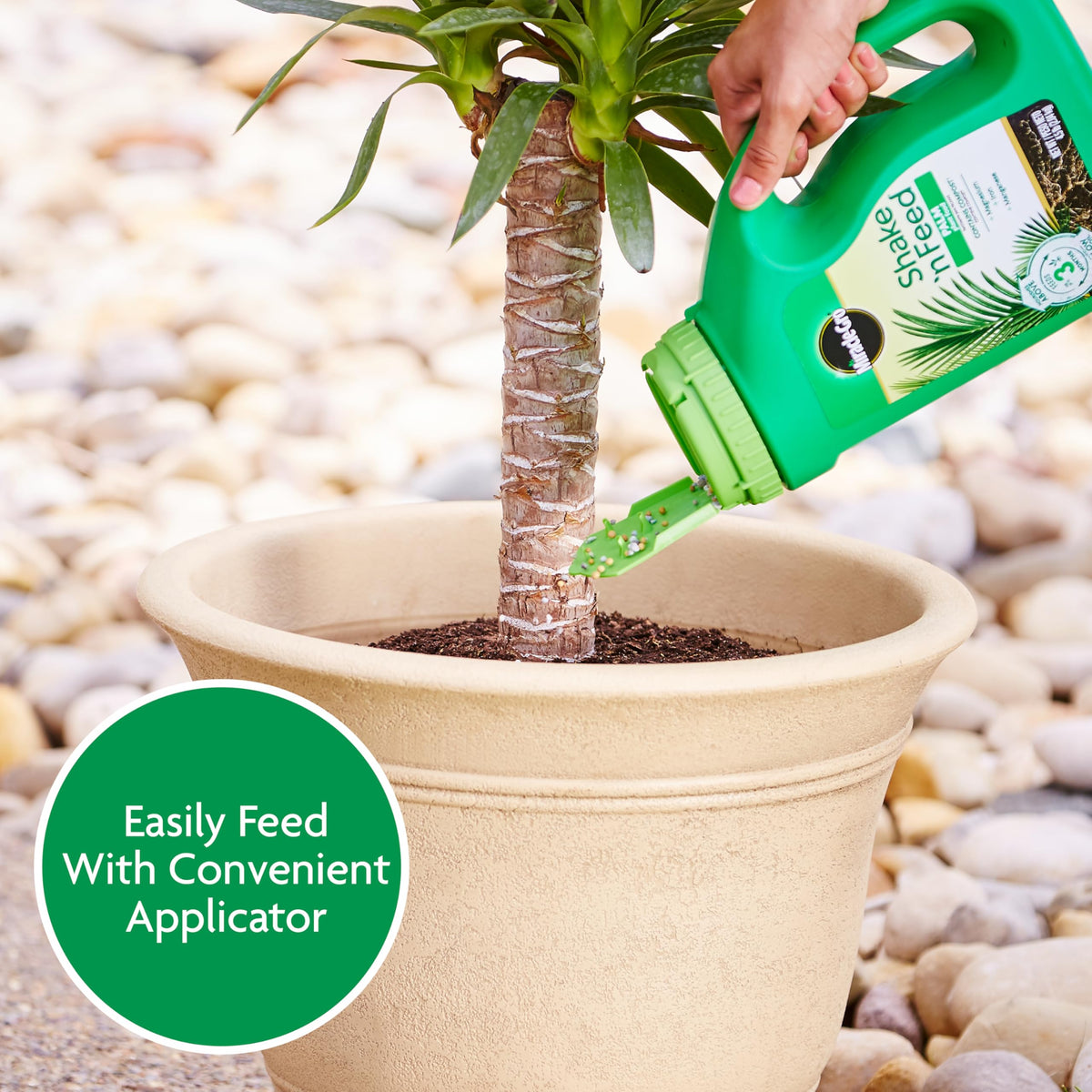 Soil evenly spread under palm fronds to feed roots