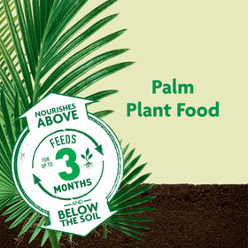 Applying Miracle-Gro Shake 'N Feed to soil around a palm