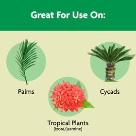 Palm planting with Shake 'N Feed mixed into soil at planting