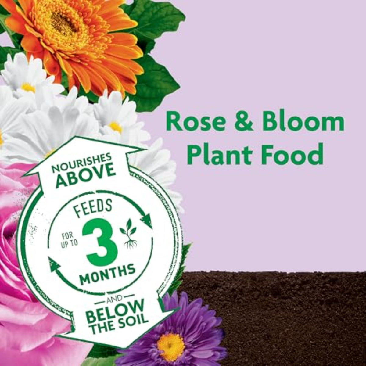 Miracle-Gro Shake 'n Feed rose granules spread on soil for up to 3 months