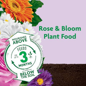 Miracle-Gro Shake 'n Feed rose granules spread on soil for up to 3 months