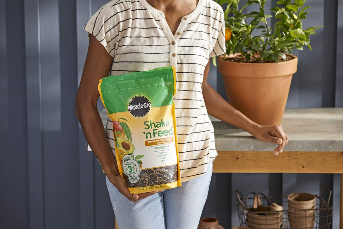 Miracle-Gro Shake 'n Feed soil dusting for quick nutrient delivery.