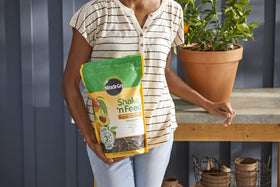 Miracle-Gro Shake 'n Feed soil dusting for quick nutrient delivery.