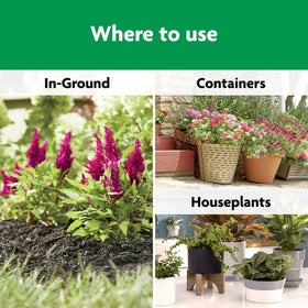 Miracle-Gro Shake 'N Feed nourishes soil microbes for better nutrient availability.