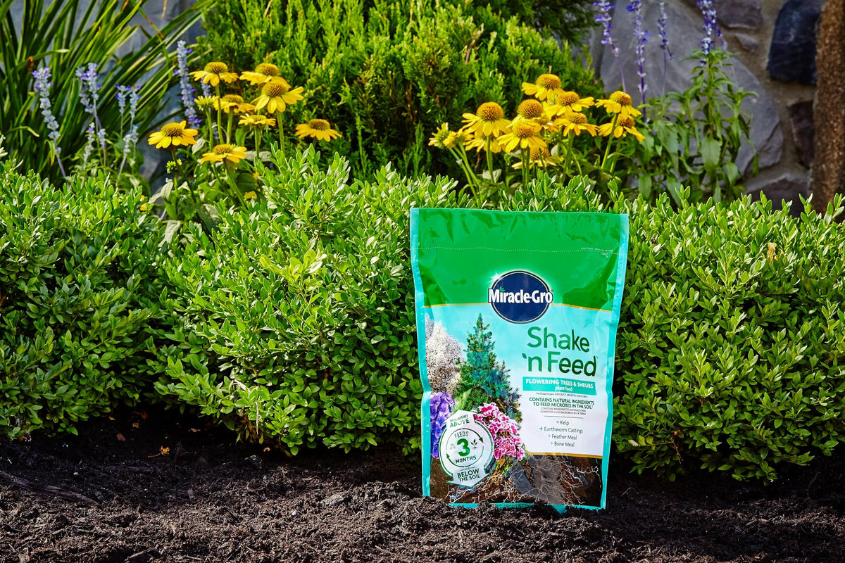 Miracle-Gro Shake 'N Feed spread on soil provides steady feeding.